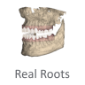M3D, Dental Studio Expert, MDS500, 3D dental scanner, dental software, Maestro 3D, orthodontic software, dental impression scanner, dental prosthesis design, orthodontic treatment planning, digital dental appliances, digital dental workflow, dental CAD/CAM solutions